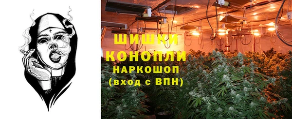молекула духа Алзамай