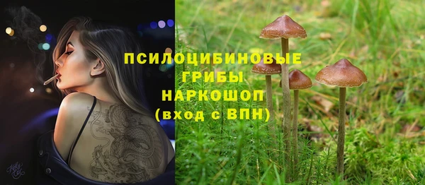 молекула духа Алзамай