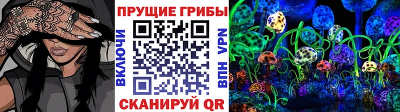 Галлюциногенные грибы Psilocybe  где найти   Среднеколымск 